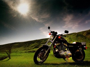 harley-davidson-motorbike-sitting-in-field-june-1998